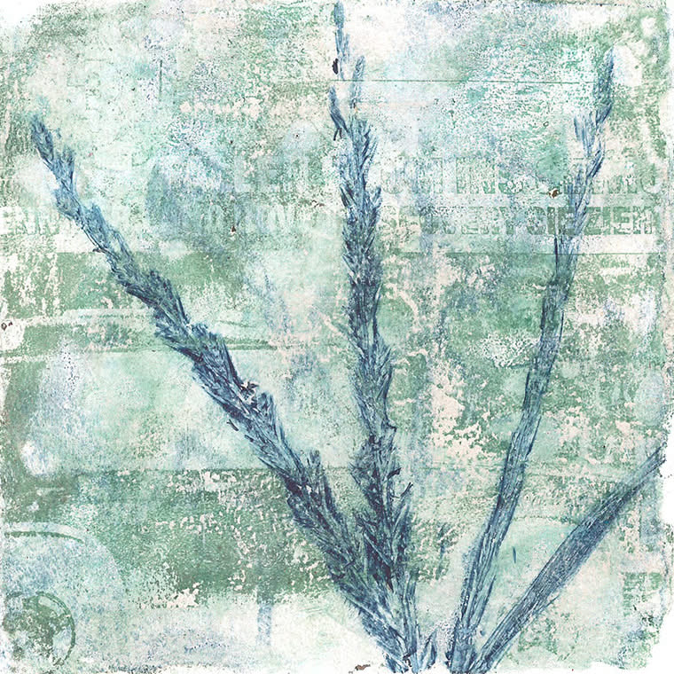 Karl-H. Warkentin: Gel-Printing-Art mit Pflanzen – Die Kunst des Monoprints