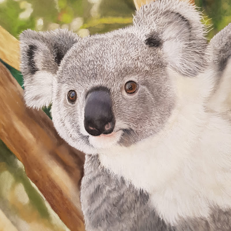 Monika Hoffmann: Naturrealistische Tierporträts mit Pastell- oder Farbstiften